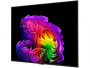 OLED телевизор LG OLED48G6 EU 4K Ultra HD